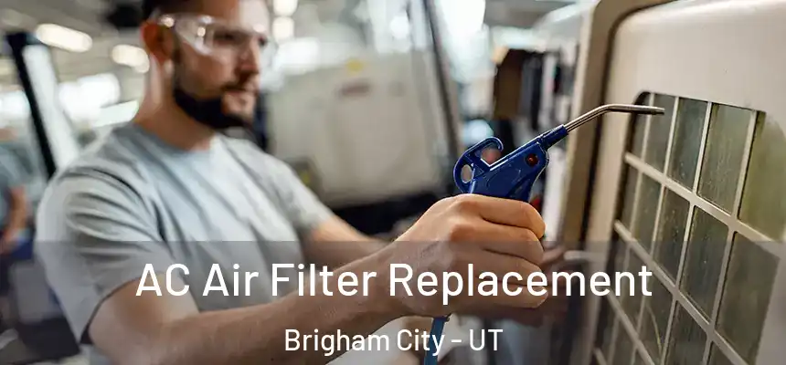 AC Air Filter Replacement Brigham City - UT