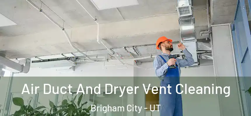  Air Duct And Dryer Vent Cleaning Brigham City - UT