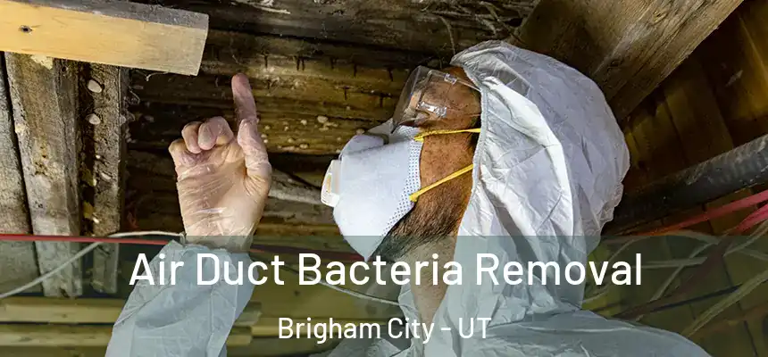  Air Duct Bacteria Removal Brigham City - UT