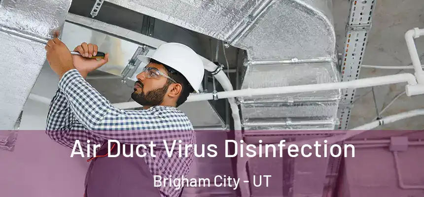  Air Duct Virus Disinfection Brigham City - UT