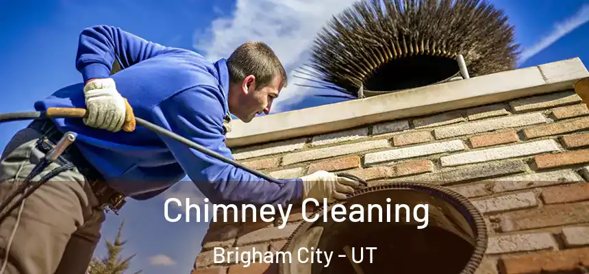 Chimney Cleaning Brigham City - UT