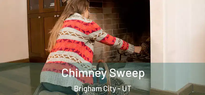 Chimney Sweep Brigham City - UT