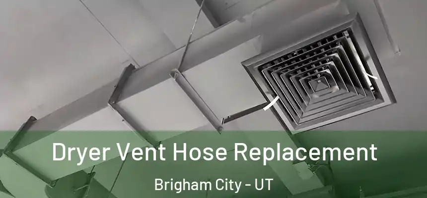 Dryer Vent Hose Replacement Brigham City - UT