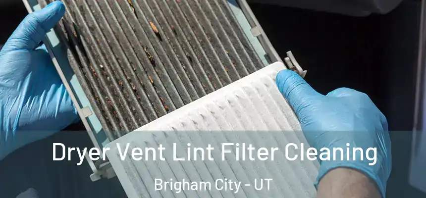  Dryer Vent Lint Filter Cleaning Brigham City - UT