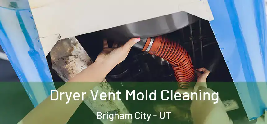 Dryer Vent Mold Cleaning Brigham City - UT