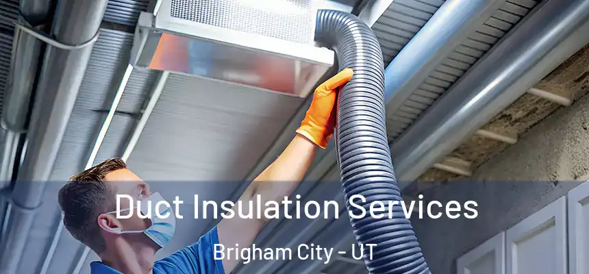Duct Insulation Services Brigham City - UT