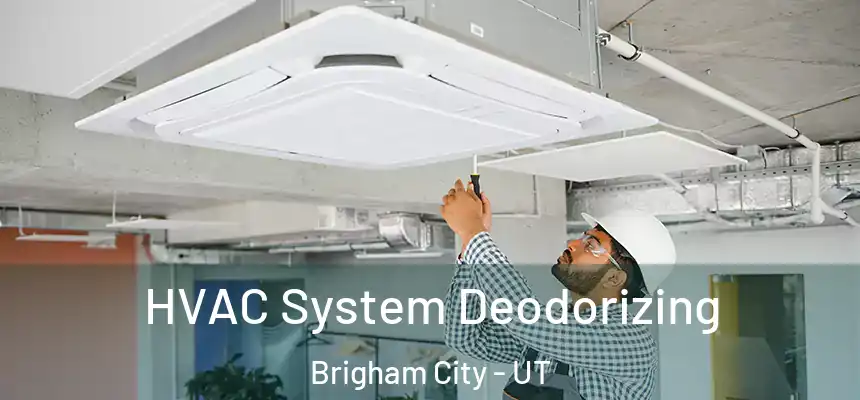 HVAC System Deodorizing Brigham City - UT
