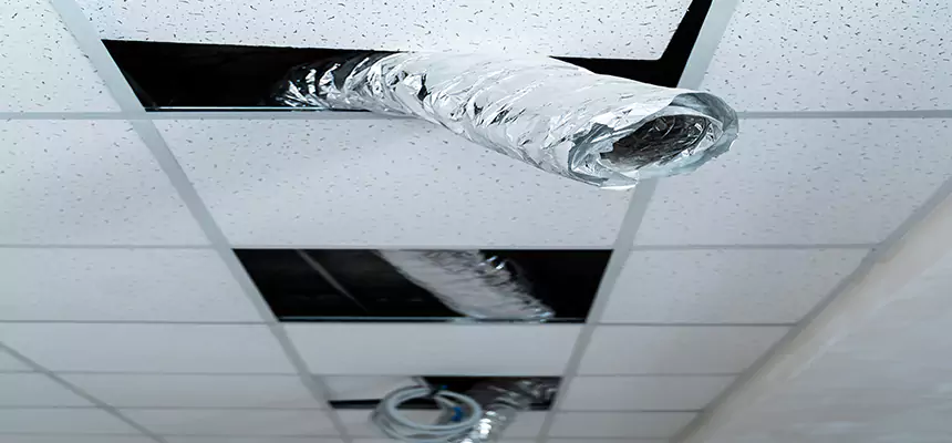 Affordable HVAC Sanitizing After Pest Removal in Brigham City