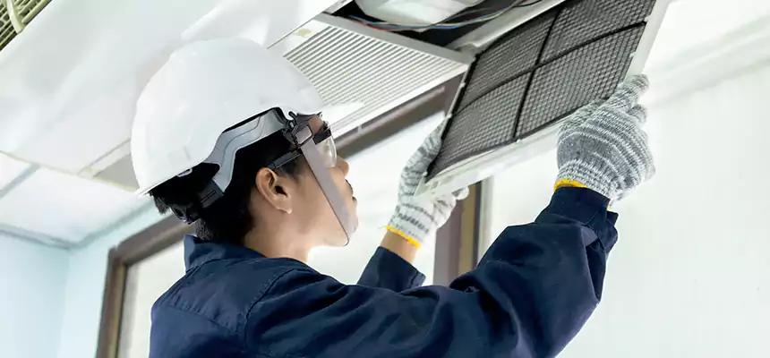 Our Mold & Mildew Removal from Air Ducts Services in Brigham City, UT