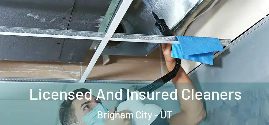  Licensed And Insured Cleaners Brigham City - UT