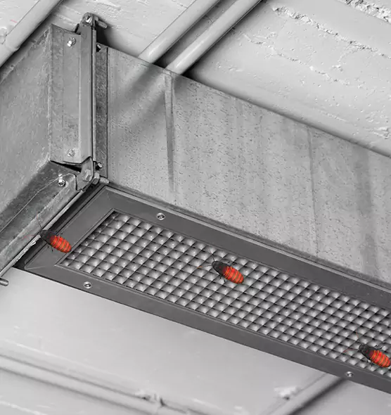 About Air Duct Cockroach Removal in Brigham City, UT