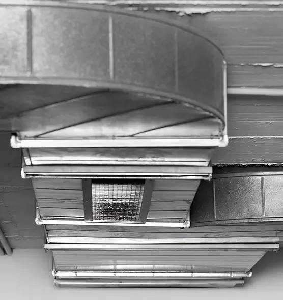 Professional Air Duct Pest Removal in Brigham City, UT