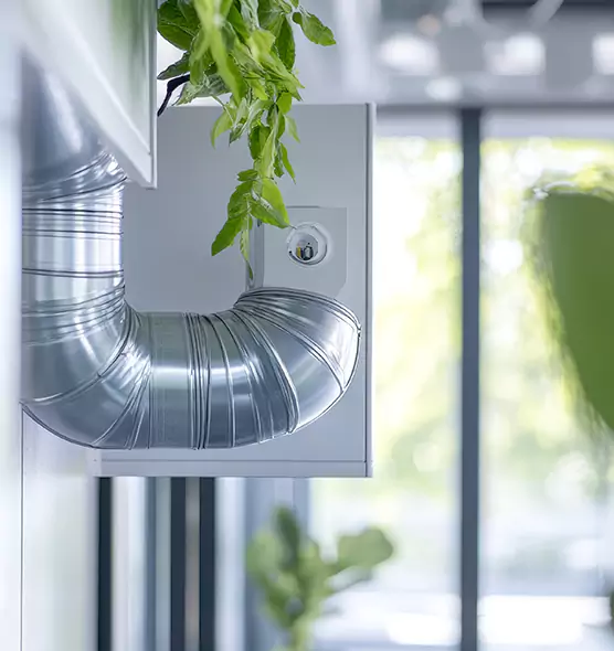 Professional Eco-Safe Dryer Vent Cleaning in Brigham City, UT