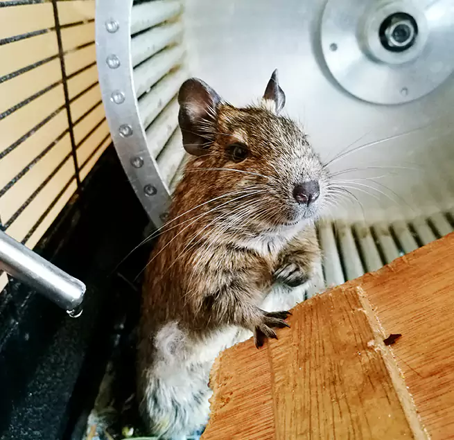 Why Homeowners & Businesses Trust Us Brigham City, UT?