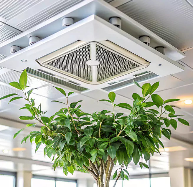 Why Homeowners & Businesses Trust Us in Brigham City, UT?