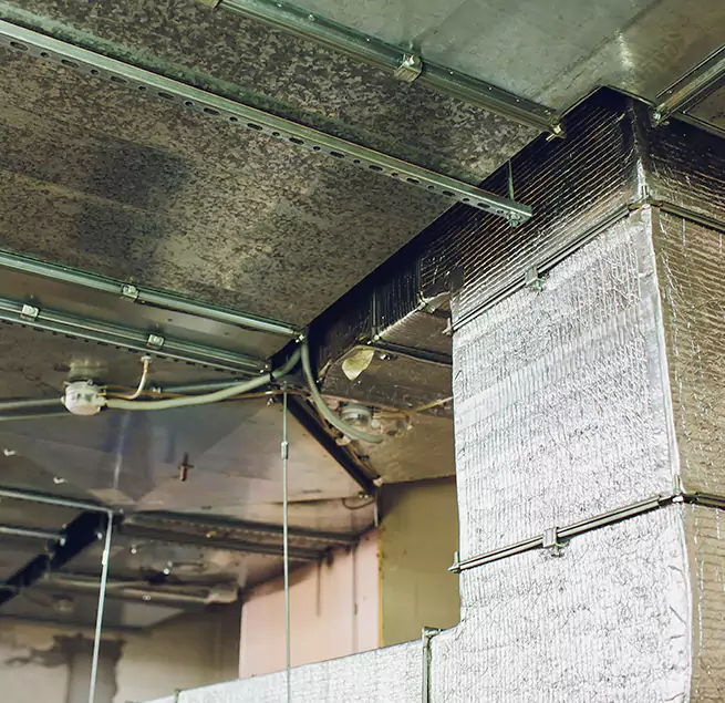 Why Homeowners & Businesses Trust Us in Brigham City, UT?